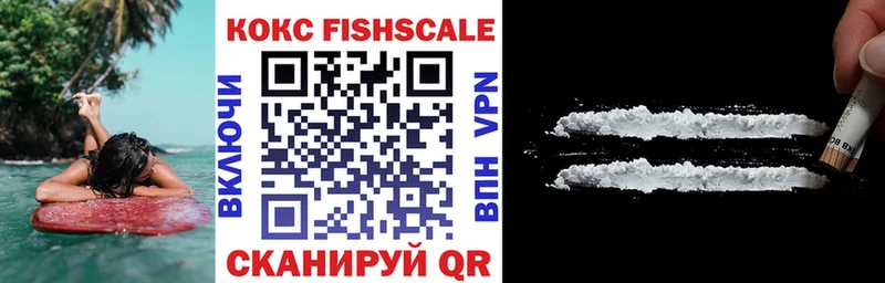 где продают наркотики  Мариинский Посад  Кокаин Fish Scale 