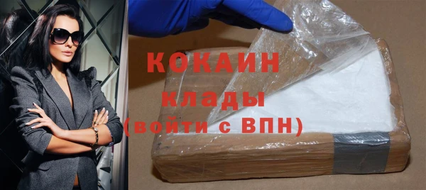 гашик Ладушкин