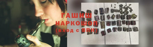 гашик Ладушкин