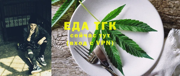 гашик Ладушкин