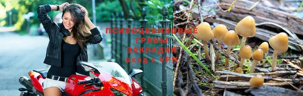 2c-b Кулебаки