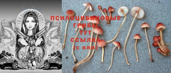 кокаин перу Краснослободск